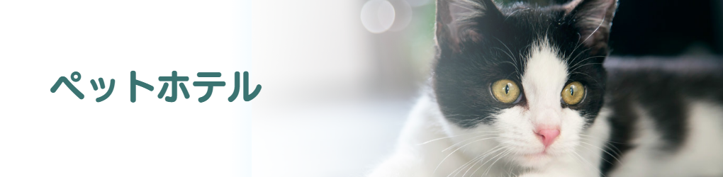 ホリデイ・トレッキング・クラブ